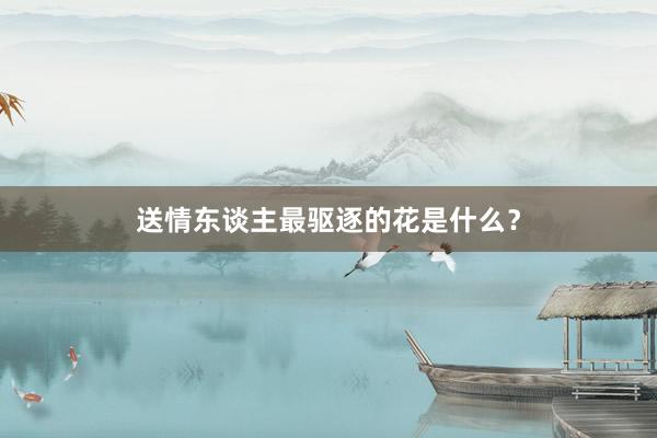送情东谈主最驱逐的花是什么？