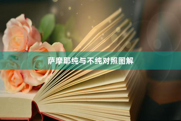 萨摩耶纯与不纯对照图解