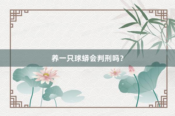 养一只球蟒会判刑吗？