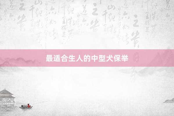 最适合生人的中型犬保举
